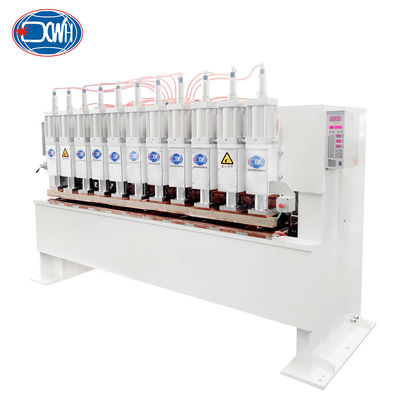 Otomatik Gantry Projection Multi Point Head Row Spot Welding Equipment Makine